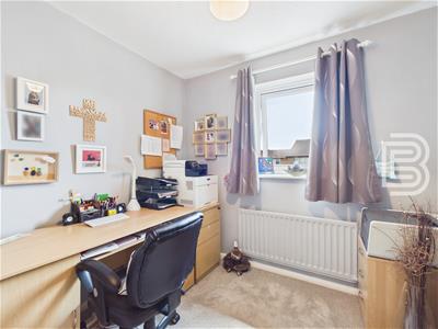 Picture 14